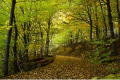 podzim, zdroj: www.pixabay.com, Licence: CC0 Public Domain / podzim, zdroj: www.pixabay.com, Licence: CC0 Public Domain /